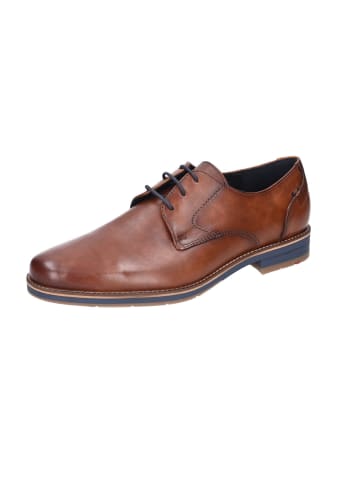 LLOYD Schnürschuhe Elegant in braun