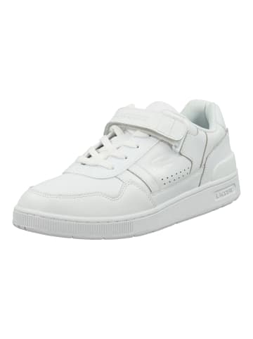 Lacoste Sneaker in Weiß/Weiß