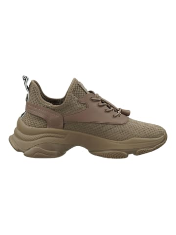 Steve Madden Sneaker in Taupe