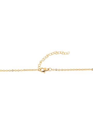 Adeliás Unisex Halskette – Ankerkette aus Edelstahl 70+5 in gold