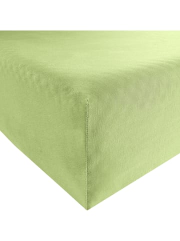 REDBEST Single-Jersey Spannbettlaken Denver in lindgrün
