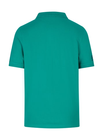 HECHTER PARIS Poloshirt in green