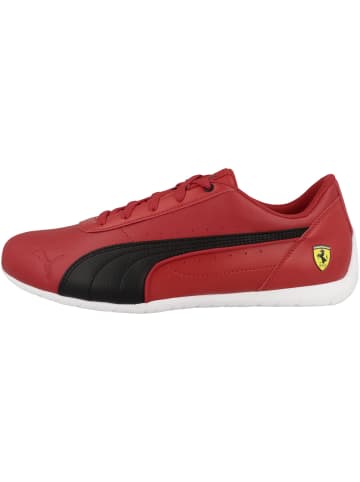 Puma Sneaker low Ferrari Neo Cat in rot