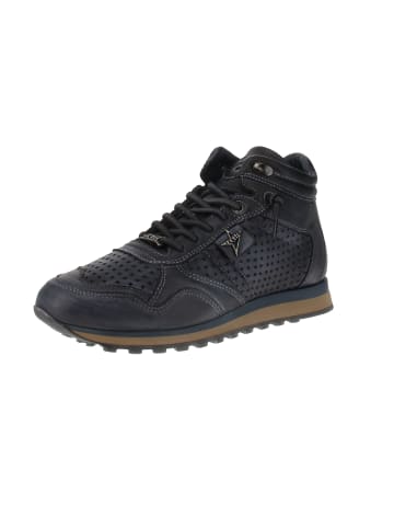 Cetti Sneaker high C-1048 in Braun