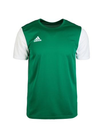 adidas Performance Fußballtrikot Estro 19 in grün / weiß