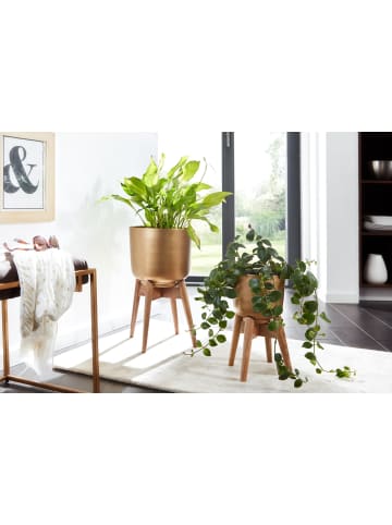 KADIMA DESIGN Blumentopf | Metall/Massiv, 2er Set, Gold, Pflanzkübel