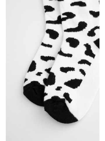 Coccodrillo Socken in bunt