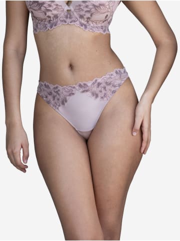 SugarShape Brazilian CHA in nougat