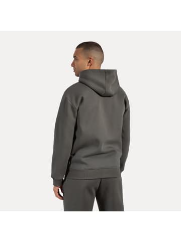 SMILODOX Zip Hoodie Ilyas in Grau
