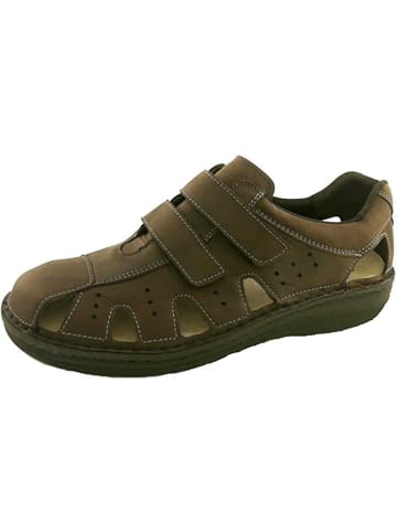 Berkemann Sneaker für Herren in braun