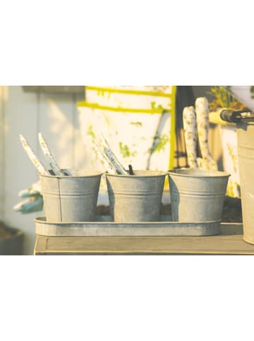 Esschert Design 3er-Set: Blumentopf in grau