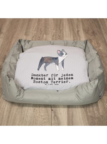 Mr. & Mrs. Panda Hundekorb Boston Terrier Moment mit Spruch in Grau Pastell