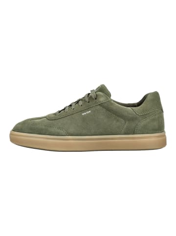 Geox Sneaker in Forest