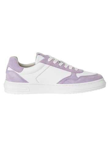 Tamaris Sneaker in LAVENDER
