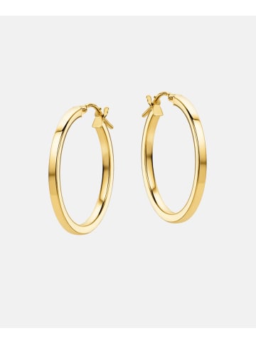 Vanlere Creolen aus 375 Gelbgold