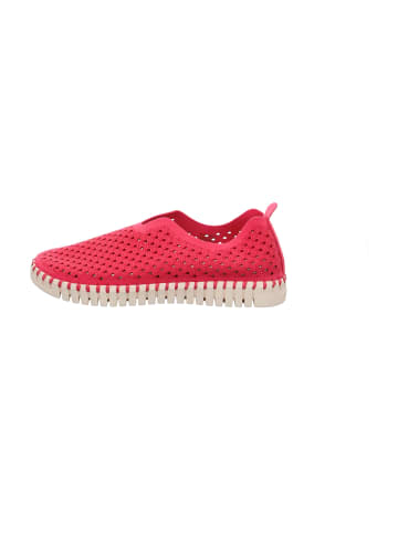 Ilse Jacobsen Sportliche Slipper in Rot