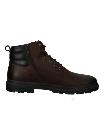 Geox Stiefelette in Coffee