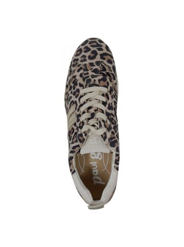 Paul Green Sneaker  in Beige