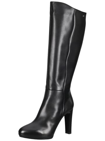 Nero Giardini Stiefel in Schwarz