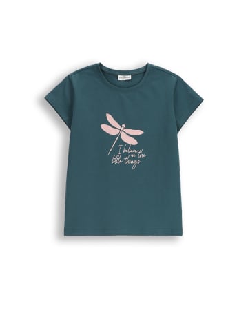 Coccodrillo T-Shirt mit kurzen Ärmeln in grün