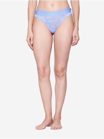 Joop! Jeans String Allover Lace in Serenity