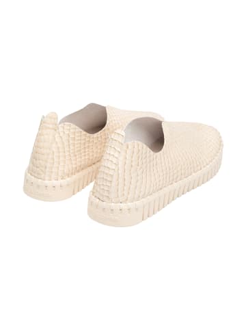 Ilse Jacobsen Slipper TULIP3031 in Sahne