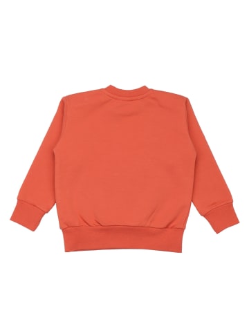 Walkiddy Sweatshirt Cheerful Fruits - Sweatshirt