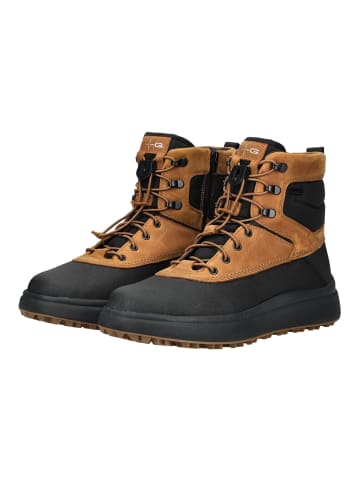 Geox Stiefelette in Schwarz/Braun