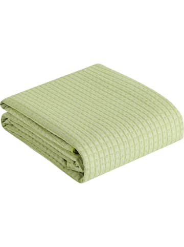 Erwin Müller Baumwollmischung Tagesdecke in grün
