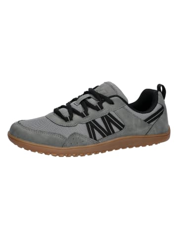 Lico Barefoot Schuhe "Aride Fit" in Grau
