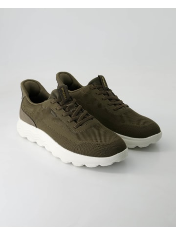 Geox Sportliche Schnürschuhe in Grün