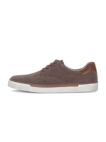 Gabor Sneaker low in grau