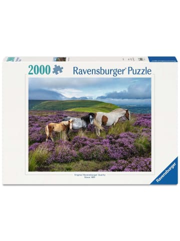 Ravensburger Ravensburger Puzzle 2.000 Teile Wildpferde in der Heide in bunt