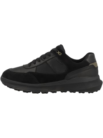 Geox Sneaker low U Pg1X B ABX A in schwarz