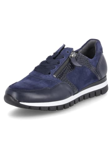 Gabor Low Sneaker in Blau