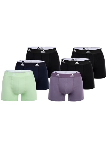 adidas Boxershort 6er Pack in Schwarz/Blau/Grün/Lila