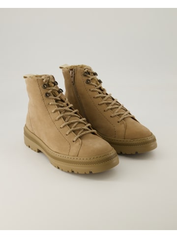 Paul Green Klassische Stiefeletten in Beige