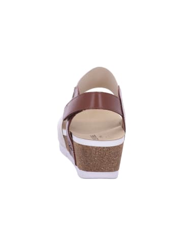 Josef Seibel Sandaletten in creme kombi