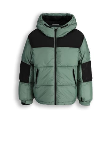 Coccodrillo Winterjacke in grün