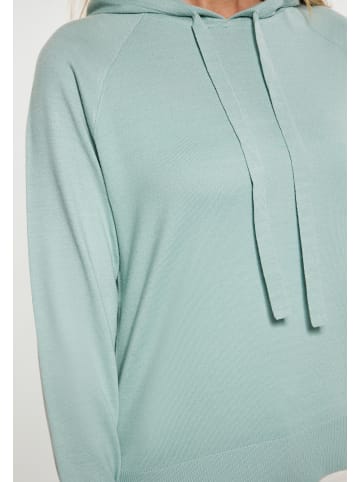 usha BLUE LABEL Women Hoodie in Mint