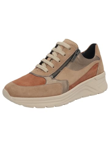 Solidus Damen- Schnürschuhe Holly Weite H in Braun