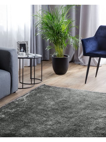 Beliani Shaggy DEMRE in Grau - (W) 200 x (H) 2 x (L) 300 cm