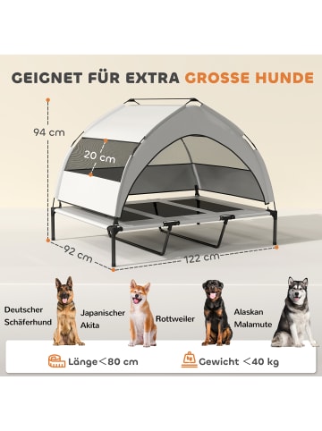Pawhut Erhöhtes Hundebett,76L x 61B x 70H cm,Hellgrau