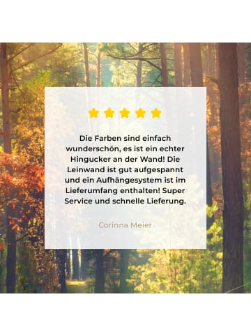 MuchoWow Leinwand bilder Waldpfad (BxH)