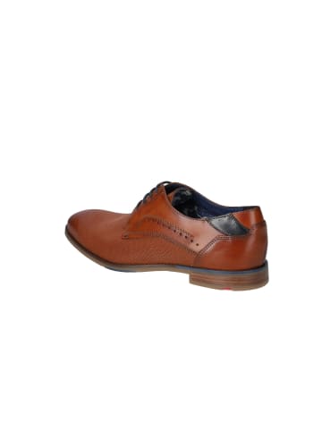 LLOYD Schnürschuhe Lloyd NAMIR in BRANDY