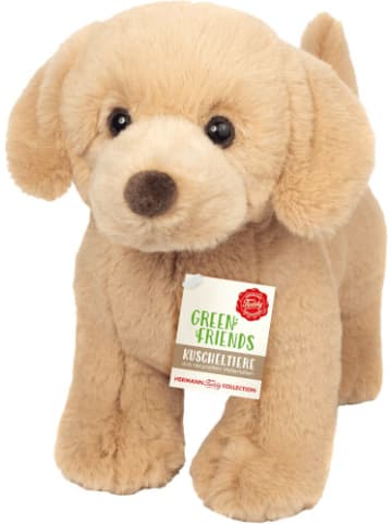 Teddy Hermann Plüschtier Golden Retiever stehend 30 cm - ab 0 Monate