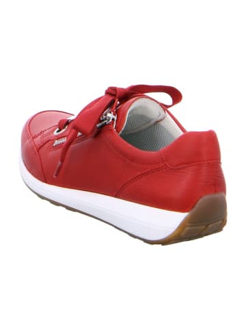 ara Komfort Schnürschuhe in Rot