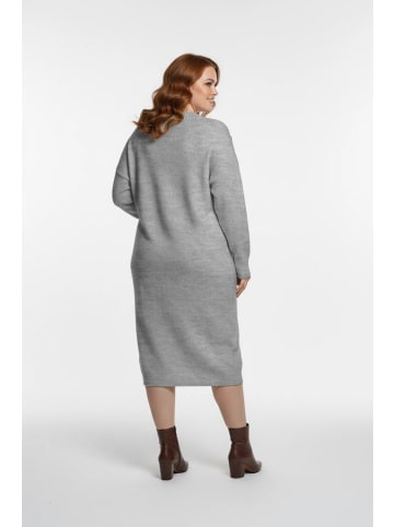 Shape Of You Kleid in Grau