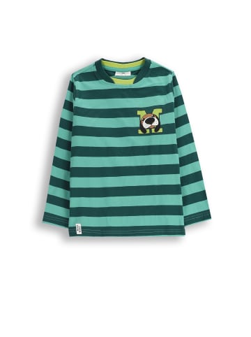 Coccodrillo Langarmshirt aus Baumwolle in grün