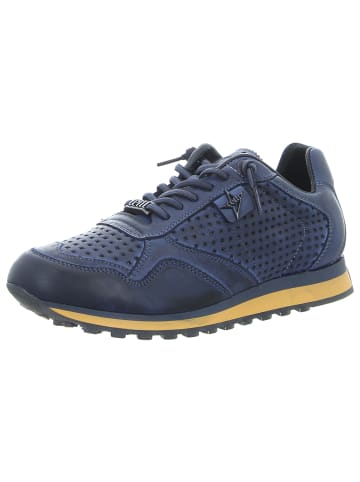 Cetti Sneaker in blau